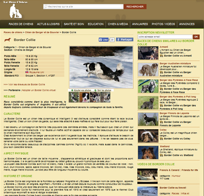 site de rencontres canines